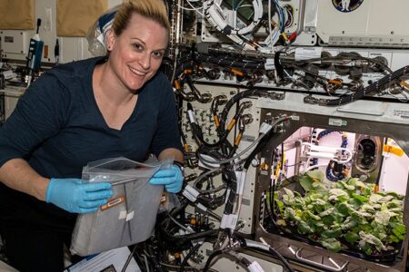 अन्तरिक्षमा पहिलो पटक फलाइयो मूला