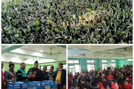 ड्रागन फ्रुटको बिरुवा र स्प्रेयर टंकी वितरण,वडाबासी हौसिए