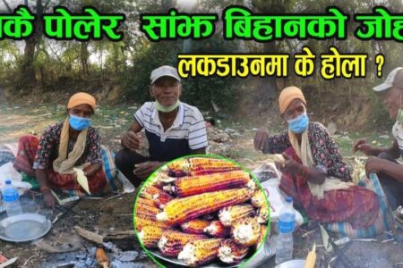 चर्को घाममा मकै पोल्ने ७६ वर्षीय आमा बुबा,यसरी सुनाए आफ्ना दुःखका कथा (भिडियो)
