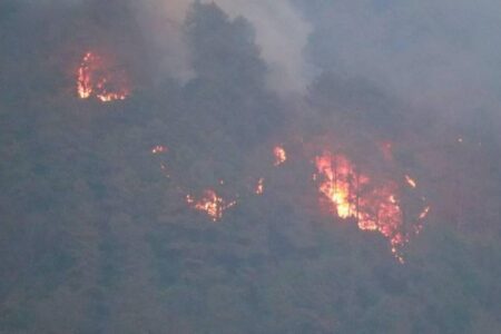 रेसुङ्गा वनमा वर्षेनि डढेलो लाग्दा करोडौंको क्षति