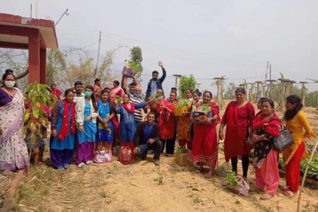 कालीगण्डकी ५ का ६६ कृषकहरुलाई विरुवा वितरण सम्पन्न