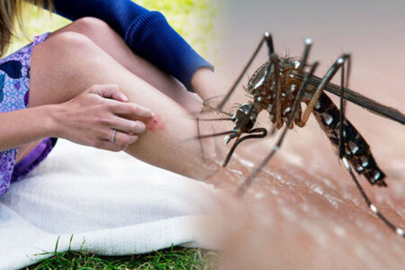 लामखुट्टेले किन चुस्छ मान्छेको रगत ? पढ्नुहोस यस्तो रहेछ वैज्ञानिक कारण