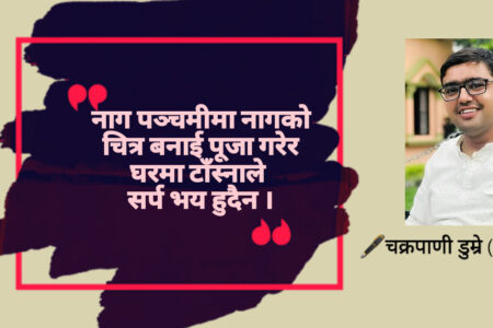 भूमि र जलका देवता नागलाई पूजा गर्ने पर्व नाग पञ्चमी