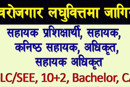 स्वरोजगार लघुवित्तमा जागिर खुल्यो! योग्यता: SLC/SEE Bachelor ले दिन पाउने