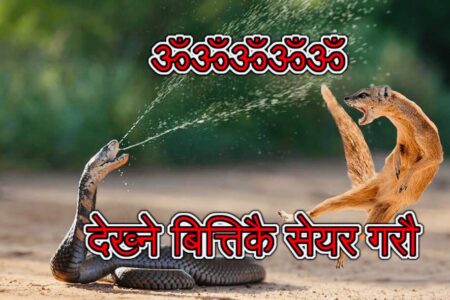 ॐ देख्ने बित्तिकै सेयर गरी पुजा गर्दा यि कुरामा अवश्य ध्यान दिनुहोस् हुनेछ ठुलो सफलता (पढ्नुहोस्)