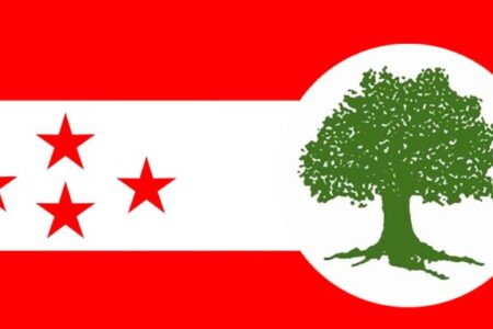 कांग्रेस प्रदेश २ मा नयाँ नेतृत्व चयनका लागि आज मतदान