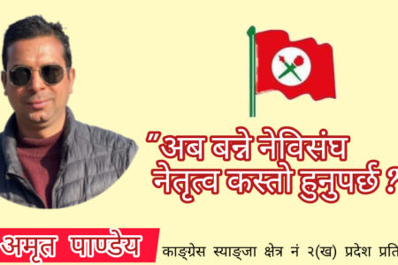 अब बन्ने नेविसंघ नेतृत्व कस्तो हुनुपर्छ ?